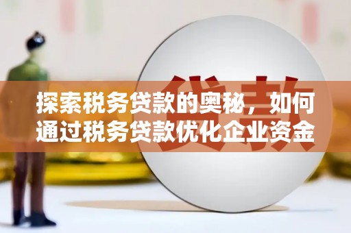 长岭探索税务贷款的奥秘，如何通过税务贷款优化企业资金流