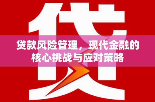 长岭贷款风险管理，现代金融的核心挑战与应对策略