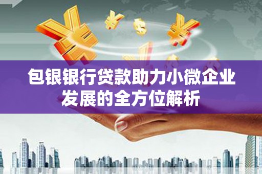 长岭包银银行贷款助力小微企业发展的全方位解析
