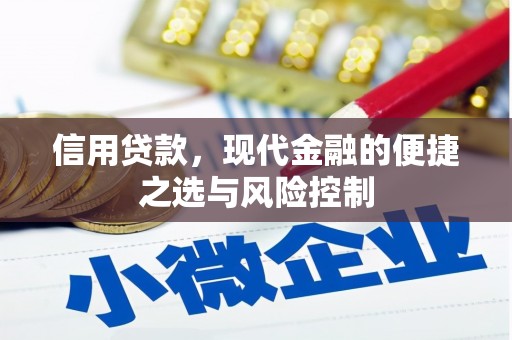 长岭信用贷款，现代金融的便捷之选与风险控制