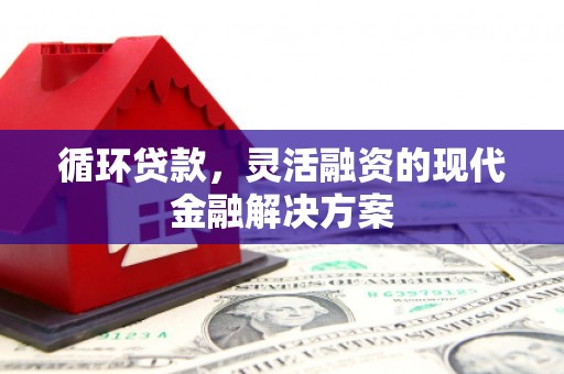 长岭循环贷款，灵活融资的现代金融解决方案