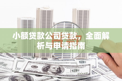 长岭小额贷款公司贷款，全面解析与申请指南