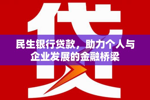 长岭民生银行贷款，助力个人与企业发展的金融桥梁