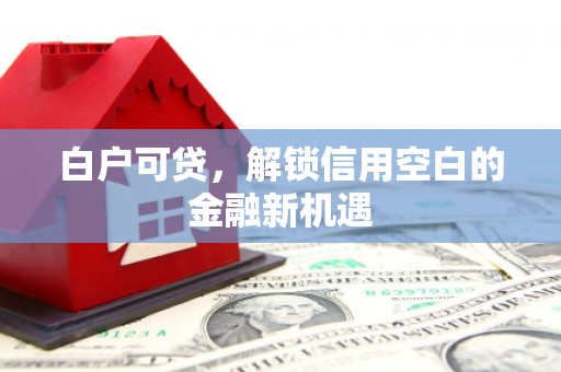 长岭白户可贷，解锁信用空白的金融新机遇
