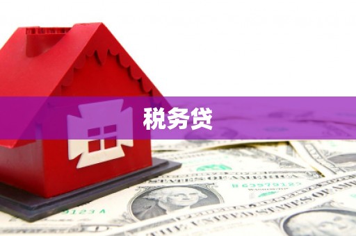 长岭税务贷