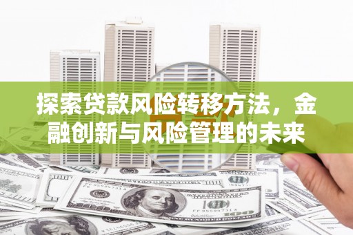 长岭探索贷款风险转移方法，金融创新与风险管理的未来