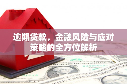 长岭逾期贷款，金融风险与应对策略的全方位解析