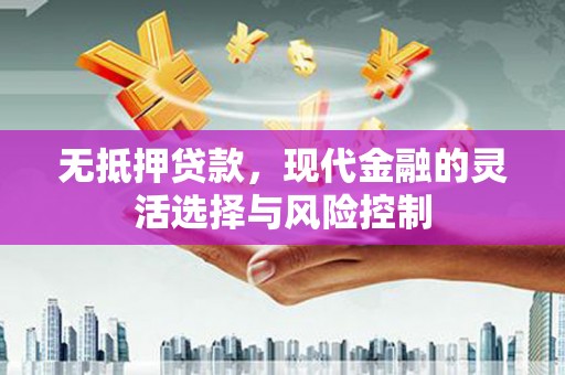 长岭无抵押贷款，现代金融的灵活选择与风险控制