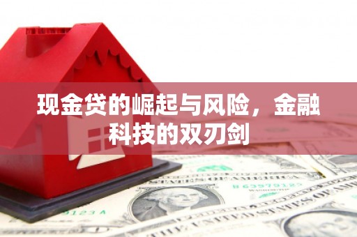 长岭现金贷的崛起与风险，金融科技的双刃剑