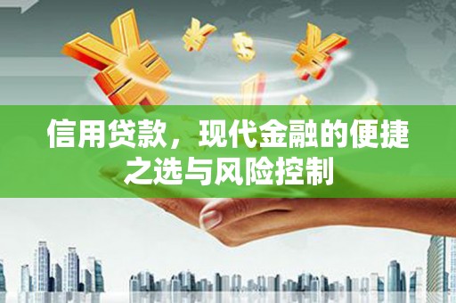 长岭信用贷款，现代金融的便捷之选与风险控制