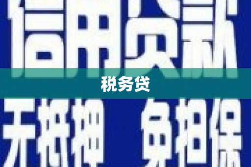 长岭税务贷