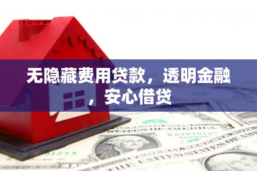 长岭无隐藏费用贷款，透明金融，安心借贷