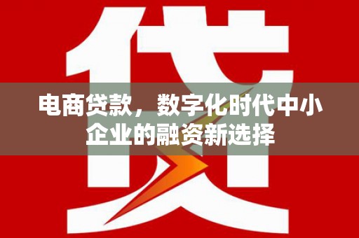 长岭电商贷款，数字化时代中小企业的融资新选择