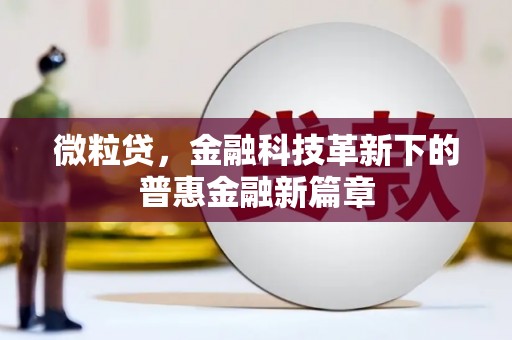 长岭微粒贷，金融科技革新下的普惠金融新篇章