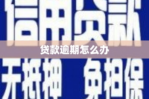 长岭贷款逾期怎么办