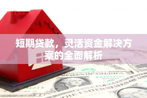 长岭短期贷款，灵活资金解决方案的全面解析