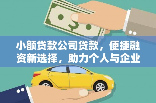 长岭小额贷款公司贷款，便捷融资新选择，助力个人与企业成长