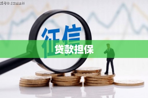 长岭贷款担保