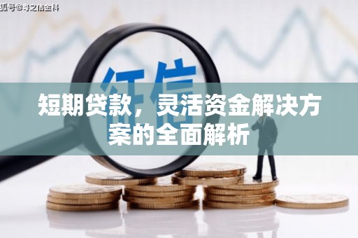 长岭短期贷款，灵活资金解决方案的全面解析