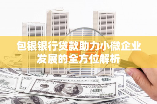 长岭包银银行贷款助力小微企业发展的全方位解析