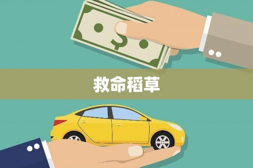 长岭救命稻草