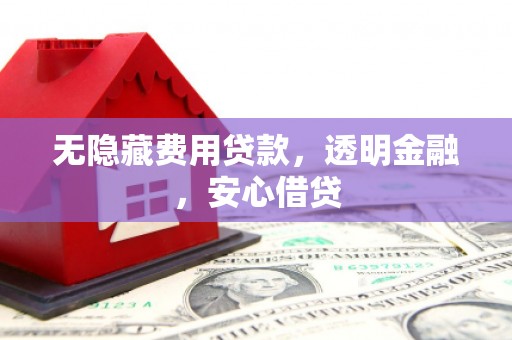 长岭无隐藏费用贷款，透明金融，安心借贷