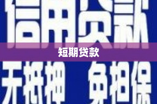 长岭短期贷款