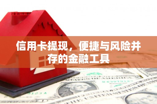 长岭信用卡提现，便捷与风险并存的金融工具