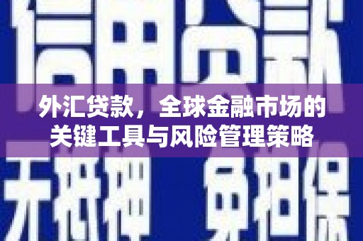 长岭外汇贷款，全球金融市场的关键工具与风险管理策略