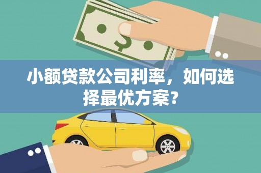 长岭小额贷款公司利率，如何选择最优方案？