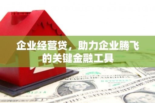 长岭企业经营贷，助力企业腾飞的关键金融工具