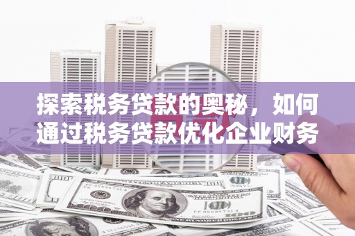 长岭探索税务贷款的奥秘，如何通过税务贷款优化企业财务