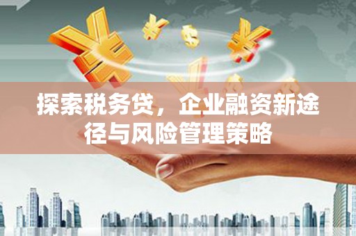 长岭探索税务贷，企业融资新途径与风险管理策略