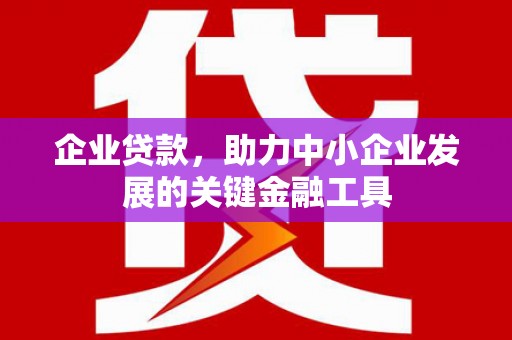 长岭企业贷款，助力中小企业发展的关键金融工具