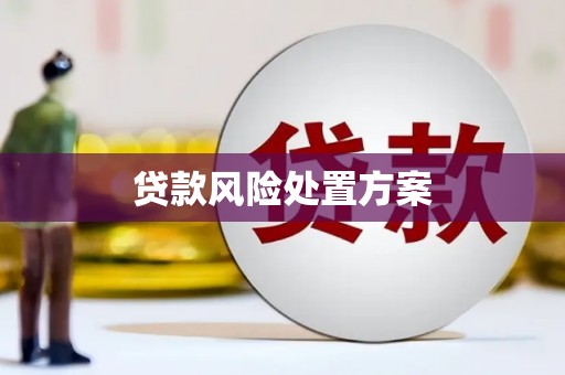长岭贷款风险处置方案