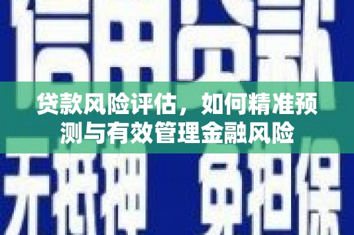 长岭贷款风险评估，如何精准预测与有效管理金融风险