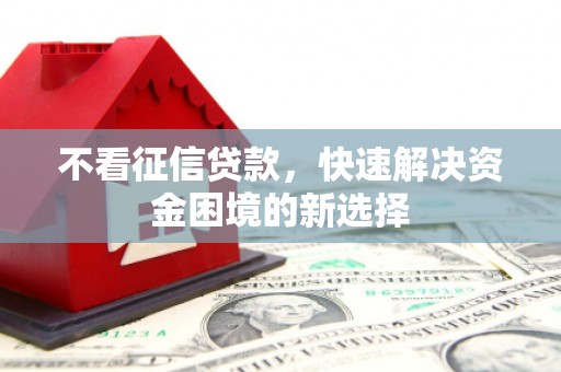 长岭不看征信贷款，快速解决资金困境的新选择