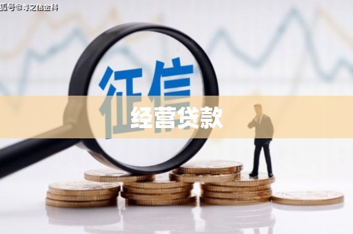 长岭经营贷款