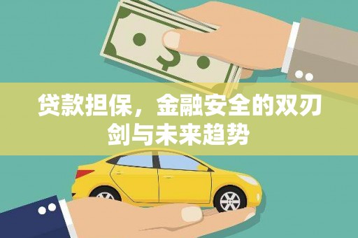 长岭贷款担保，金融安全的双刃剑与未来趋势