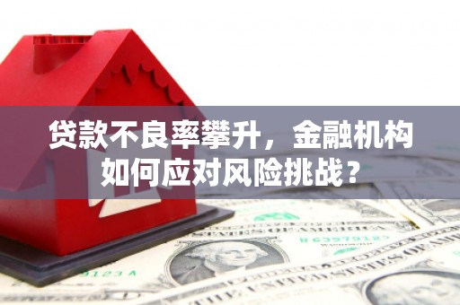 长岭贷款不良率攀升，金融机构如何应对风险挑战？