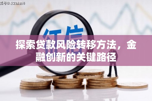 长岭探索贷款风险转移方法，金融创新的关键路径