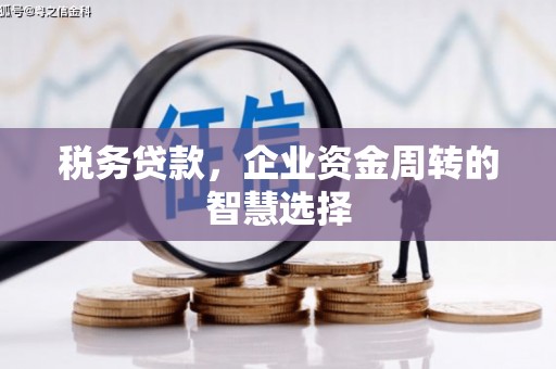 长岭税务贷款，企业资金周转的智慧选择