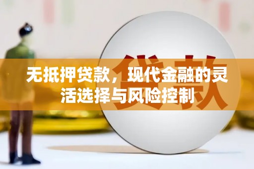 长岭无抵押贷款，现代金融的灵活选择与风险控制
