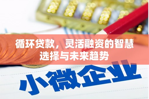 长岭循环贷款，灵活融资的智慧选择与未来趋势