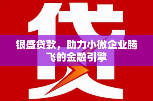 长岭银盛贷款，助力小微企业腾飞的金融引擎