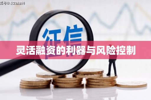 长岭灵活融资的利器与风险控制