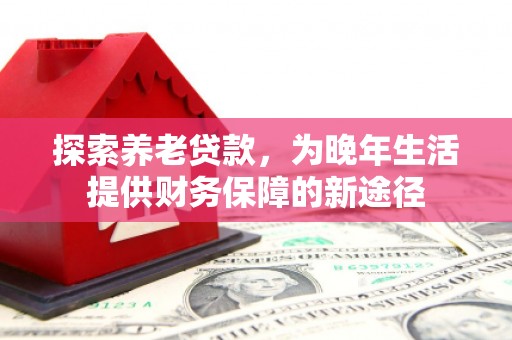 长岭探索养老贷款，为晚年生活提供财务保障的新途径