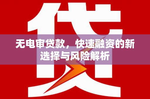 长岭无电审贷款，快速融资的新选择与风险解析