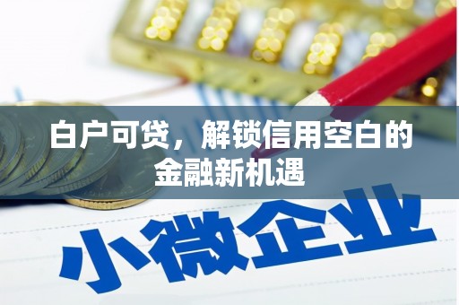 长岭白户可贷，解锁信用空白的金融新机遇