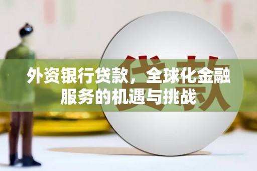 长岭外资银行贷款，全球化金融服务的机遇与挑战